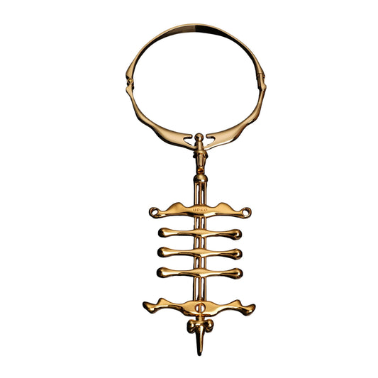 Gold Collar and Finger Restraint System – Luxury BDSM Bondage Gear