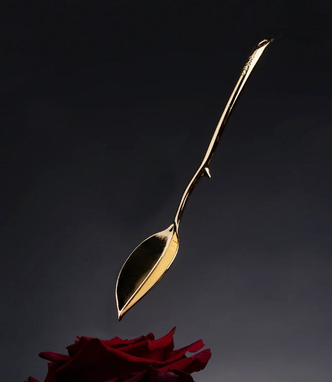 Intimate Body Wax Remover, Metal Wax Scraper